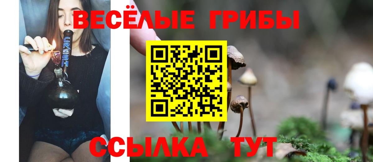 Псилоцибиновые грибы MAGIC MUSHROOMS  Вход с VPN  Таганрог 